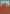 Autumn Is Here Flag | Thanksgiving Flags | Fall Flags | Decorative Flags