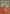 Pumpkin Patch Flag | Fall Flags | Halloween Flags | Yard Flags | Cool Flag