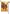 Trendy Tom Garden Flag | Thanksgiving Flags | Holiday Flags | Yard Flags