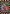 Fall Pumpkin Patch Flag | Fall Flags | Halloween Flags | Yard Flags