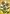 Sunflowers Shine Flag | Yard Flags | Floral Flags | Inspirational Flags
