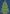 Joy Tree Flag | Christmas Flags | Holiday Flags | Yard Flags | Cool Flags
