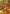 Cornucopia Harvest Flag | Thanksgiving Flags | Holiday Flags | Fall Flags