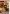 Cabin Fever House Flag | Fall Flags | Welcome Flags | Wildlife Flags | Flag
