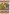 Americana Garden House Flag | Welcomer Flags | Garden House Flags