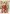 Woodland Santa House Flag | Christmas Flags | Yard Flags | Cool Flags