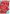 Baby It Is Cold House Flag | Winter Flags | Yard Flag | Cool Flags | Flags