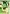 Luck of the Irish House Flag | St. Patrick's Day Flags | Yard Flags | Flags