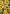 Black Eyed Susans Flag | Floral Flags | Spring Flags | Summer Flags