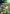 Spring At Last Flag | House Flags | Garden Flags | Floral Flags | Yard Flags