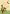 Let Your Glory Flag | Inspirational Flag | Floral Flag | Yard Flags | Cool Flag