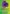 Purple Violet Flag | Yard Flags | Garden Flags | Flags | Inspirational Flags