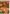Vintage Harvest House Flag | Thanksgiving Flags | Fall Flags | Yard Flags