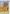 Pumpkin Patch House Flag | Thanksgiving Flag | Welcome Flag | Fall Flag