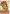 Thanksgiving Turkey House Flag | Thanksgiving Flags | Yard Flags | Flags