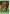 Grazing House Flag | Spring Flags | Summer Flag | Animal Flag | Yard Flag