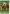 Grazing Time Flag | House Flags | Decorative Flags | Garden House Flags