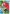 Tropical Beauties House Flag | Bird Flags | Summer Flags | Yard Flags