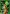 Rainbow Hat Flag | St. Patrick's Day Flags | Holiday Flags | Cool Flags