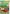 Dig in the Dirt House Flag | Spring Flag | Floral Flag | Yard Flag | Bird Flags