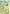 Sanctuary Sparrows House Flag | Spring Flag | Floral Flags | Bird Flags