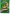 Happy St. Patrick's Day House Flag | St. Patrick's Day Flags | House Flags