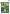 St. Patricks Lucky Day Garden Flag | St. Patrick's Day Flags | Garden Flag