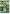 St. Patricks Lucky Day House Flag | St. Patrick's Day Flags | House Flags