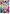 Celebrate Birthday House Flag | Celebration Flags | House Flags | Flags