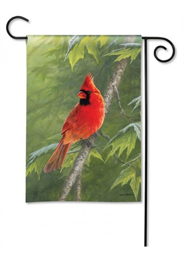 Cardinal Yard Sign | Yard Signs | Address Plaques | Yard Decor