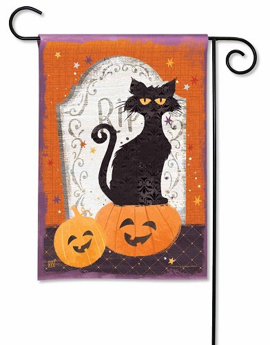 Black Cat and Pumpkins Garden Flag | Halloween, Garden, Flags