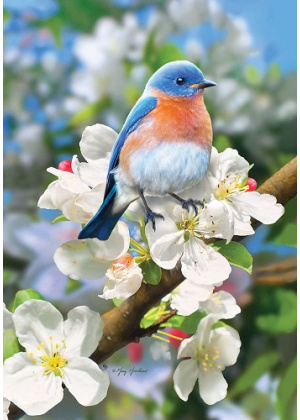 Stunning Bluebird Flag | Bird Flags | Decorative Flags | Cool Flags