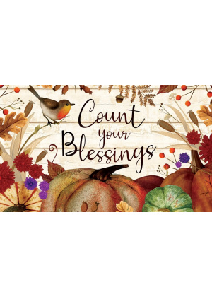 Count Your Blessings Doormat | Decorative Doormats | MatMates