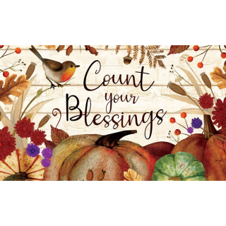 Count Your Blessings Doormat | Decorative Doormats | MatMates