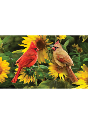 Cardinals Doormat | Decorative Doormats | MatMates | Door Mats