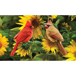 Cardinals Doormat | Decorative Doormats | MatMates | Door Mats