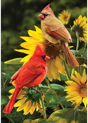 Cardinals Flag | Spring Flags | Bird Flags | Summer Flags