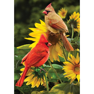 Cardinals Flag | Spring Flags | Bird Flags | Summer Flags