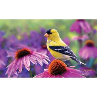 Goldfinch Glory Doormat | Decorative Doormats | MatMates