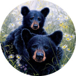 Black Bear Lookout Suncatcher | Suncatchers | Sun Catchers