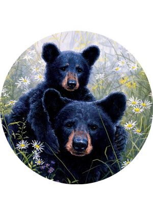 Black Bear Lookout Suncatcher | Suncatchers | Sun Catchers