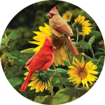 Cardinal Couple Suncatcher | Suncatchers | Sun Catchers