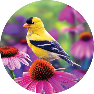 Goldfinch Glory Suncatcher | Suncatchers | Sun Catchers