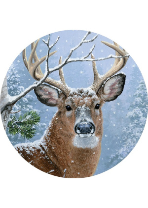 Winter Whitetail Suncatcher | Suncatchers | Sun Catchers